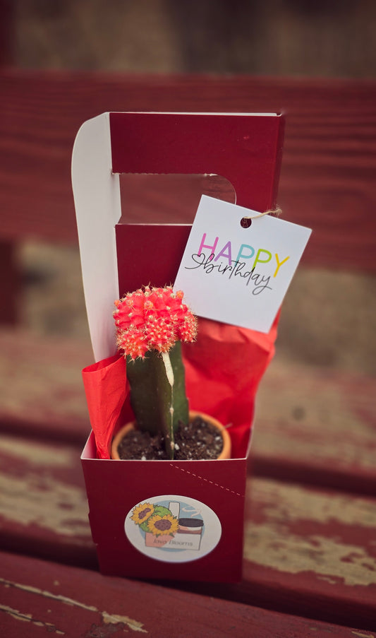 Cactus Gram w/ 16 oz beverage