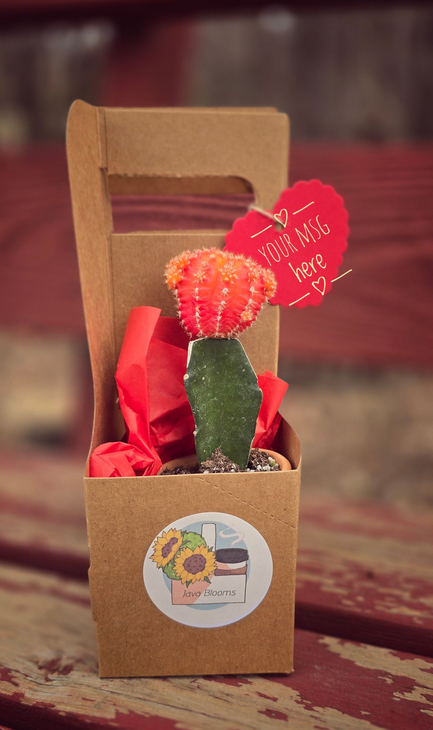 Cactus Gram w/ 16 oz beverage