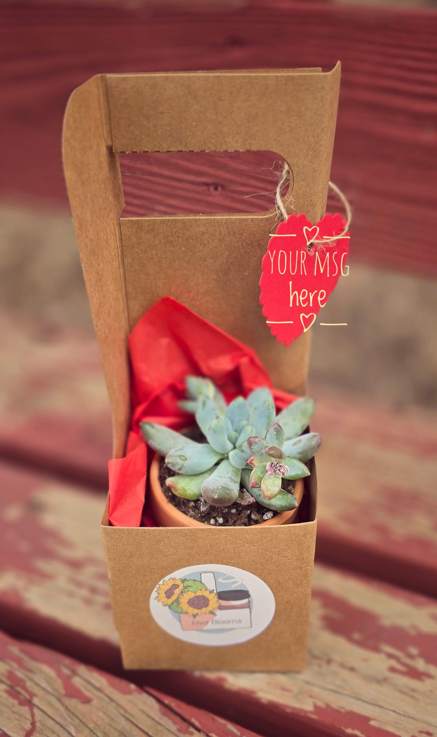 Succulent Gram w/ 20 oz beverage